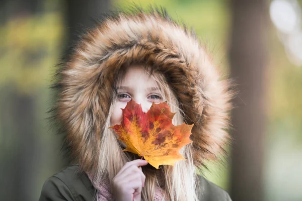 Gadis Pirang Tersenyum Bersembunyi Wajahnya Balik Daun Maple Musim Gugur — Stok Foto