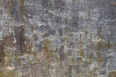 Yıpranmış beton duvar dokusu ve sarı liken. Arka plan ya da doku için eski kale duvarının bir parçası. Doğa Sanatı.