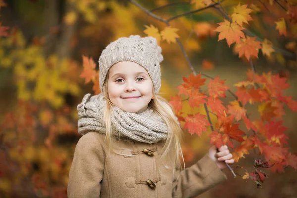 Happy Little Girl Holding Maple Tree Branch Autumn Park Pretty — Stock Photo, Image