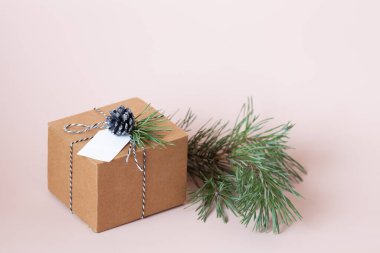 Üzerinde çam kozalağı, çam dalı ve pembe bir arka planda sicimle süslenmiş boş etiketli Kraft hediye kutusu. Çevre dostu Noel ya da yeni yıl hediyesi paketi. Seçici odak.