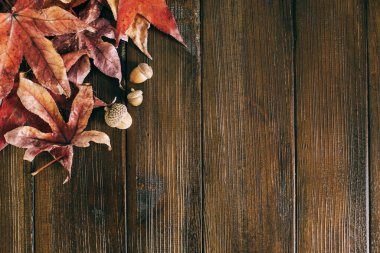 Koyu kırsal ahır ahşap yüzeyinde sonbahar yaprakları ve kahverengi meşe palamutları