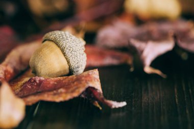 Koyu kırsal bir ahşap masa üzerinde kırsal akçaağaç yaprakları parlak sonbahar renkleri ve sonbahar mevsimi için meşe palamudu var.