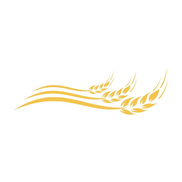 Rolnictwo pszenica logo wzór wektor ikona projekt — Wektor stockowy