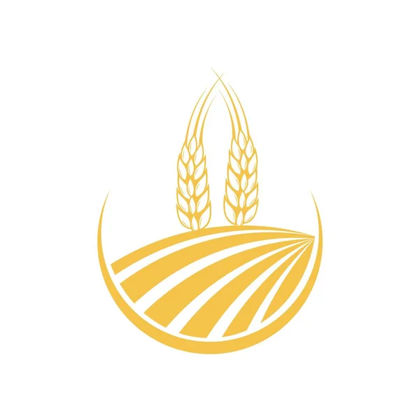 Mezőgazdaság búza logó sablon vektor ikon tervezés — Stock Vector