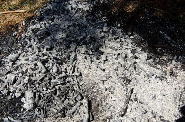 Cinzas Cinzas Lareira Livre Floresta Deixados Para Trás Após Piqueniques — Fotografia de Stock