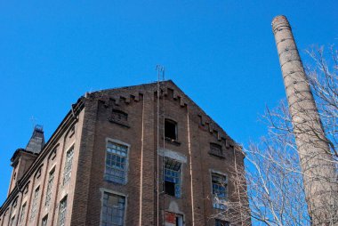 Terk edilmiş eski fabrika, açık mavi gökyüzünde yaprakları olmayan baca ve ağaç