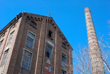 Terk edilmiş eski fabrika, açık mavi gökyüzünde yaprakları olmayan baca ve ağaç
