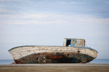 Sabahın erken saatlerinde arka planı gökyüzü ve deniz olan paslı, terk edilmiş eski bir balıkçı teknesinin önündeki köpek, uzayı taklit eder.  