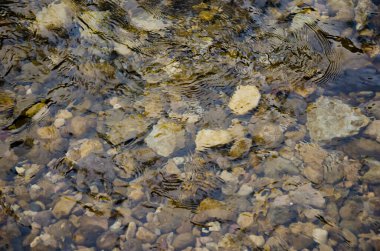 Temiz nehir suyunun altında kayalar, yakın plan, su arka plan