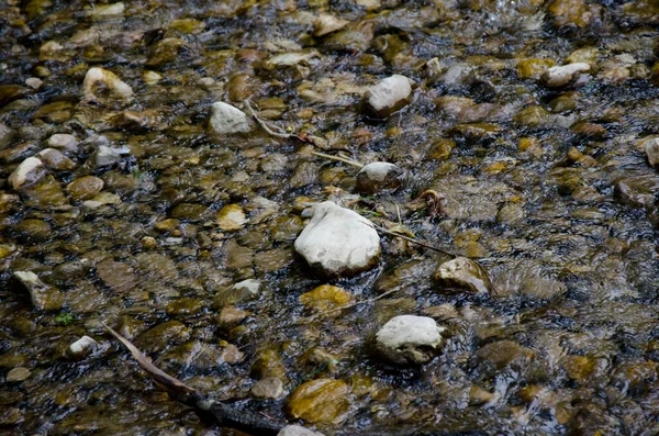 Камни Чистой Речной Водой Близко Водный Фон — стоковое фото