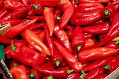 Satılık büyük kırmızı biber yığını. Tam kare.