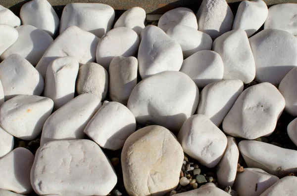 Group White Gray Stones Sun Light Close Background Texture — Stock Photo, Image