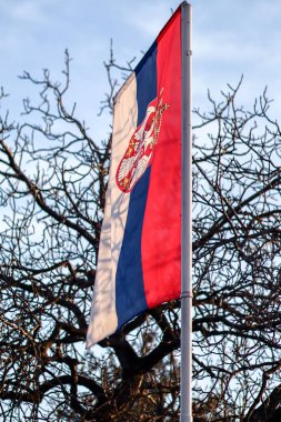 Güneşli bir günde, arka planda dikey görüntü olarak ağaçların gölgesi ve mavi gökyüzü olan Sırp bayrağı