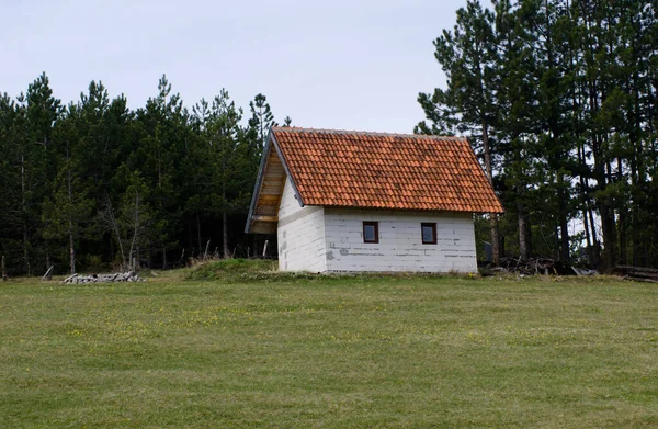 Eenzaam Wit Huis Een Heuvel Omgeven Door Bos — Stockfoto