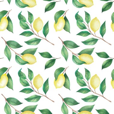 Suluboya ile boyanmış beyaz bir arka planda limon deseni. Beyaz arkaplanda izole çizim