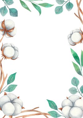 Pamuk çiçeklerinden ve dallardan oluşan suluboya çerçeve. Suluboya elementleri beyaz arkaplanda izole edildi