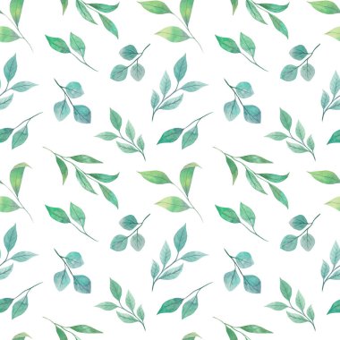 Beyaz arka planda izole edilmiş, dikişsiz yeşil dal desenli suluboya. Kağıt, tekstil, duvar kâğıdı ve daha fazlası için mükemmel.