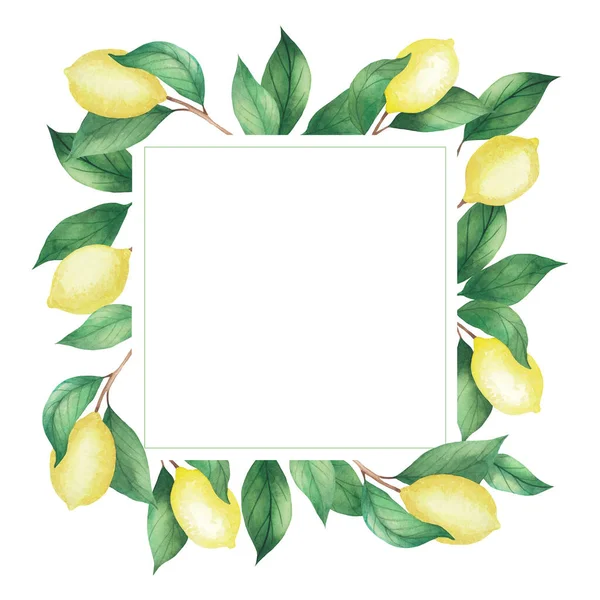 Akvarel Čtvercový Rám Citrónů Zelených Větví Listy Izolovaná Kresba Bílém — Stock fotografie