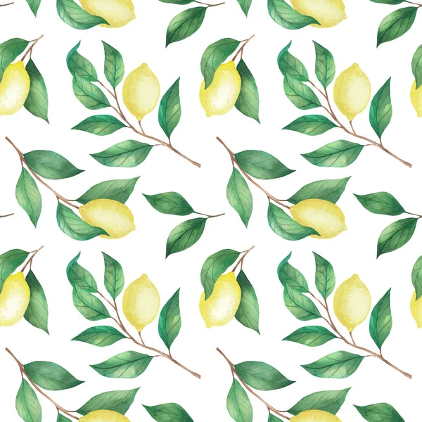 Suluboya ile boyanmış beyaz bir arka planda limon deseni. Beyaz arkaplanda izole çizim