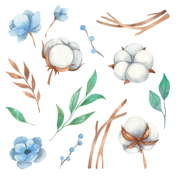 Aquarell Set Mit Floralen Elementen Aus Baumwollblumen Zweigen Blauen Blumen — Stockfoto