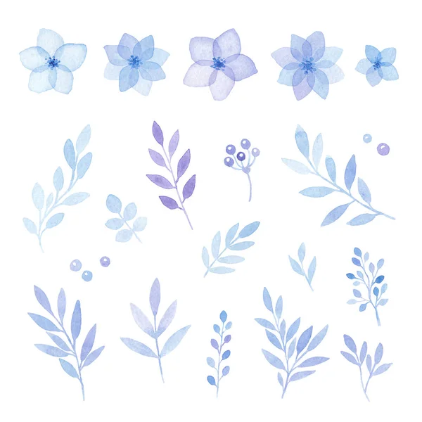 Elementy Akwarelowe Kwiatowy Zestaw Niebieskich Kwiatów Liści Izolowane Białym — Zdjęcie stockowe