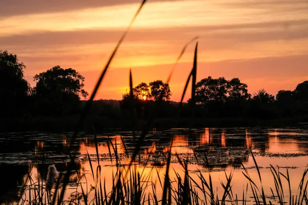 Beautiful sunrise in summer over the lake. reflection — Stock Photo, Image