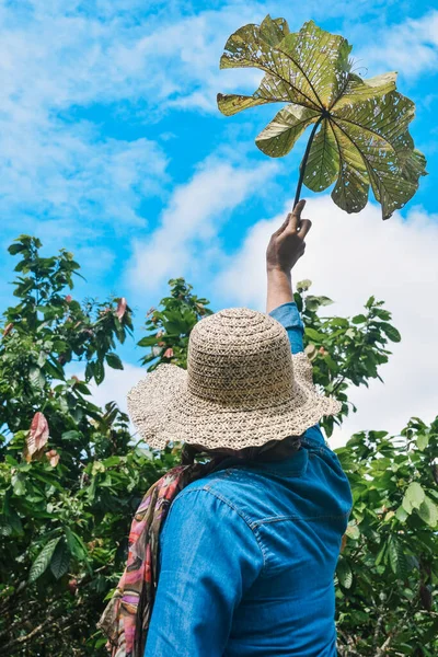 Faceless farmer in yellow hat holding tropical leaf in farmland.