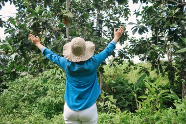 Tropikal ormanın ortasında elleri havada bir kaşifin arka görüntüsü..