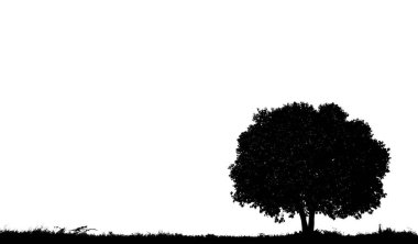 beyaz bir arka plan üzerinde izole büyük ağaç siluetleri 