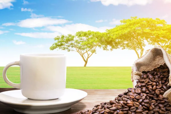 white coffee cup with steam on the wooden shelf over summer landscape of grass and big trees background