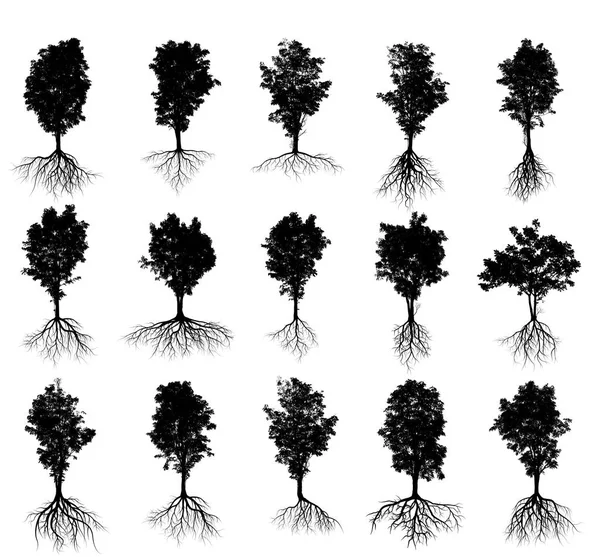 배경에 루트와 실루엣의 컬렉션 — 스톡 사진