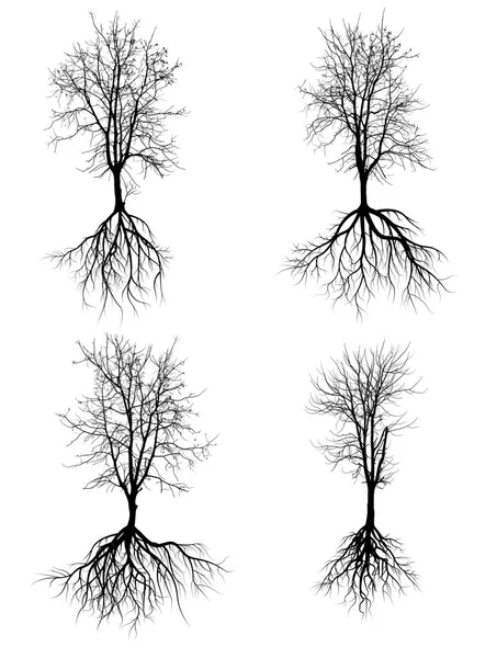 büyük ağaç siluetleri ile beyaz bir arka plan üzerinde izole kök topluluğu