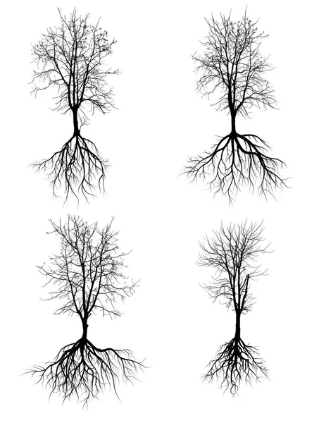 Kolekcja Wielkie Drzewo Sylwetek Korzenia Białym Tle Białym Tle — Zdjęcie stockowe