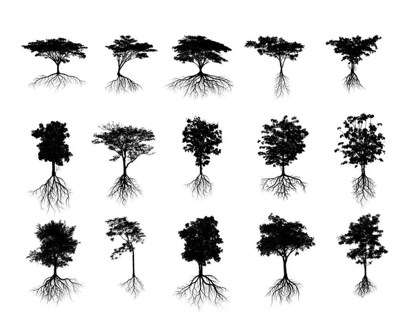 Kolekcja Wielkie Drzewo Sylwetek Korzenia Białym Tle Białym Tle — Zdjęcie stockowe