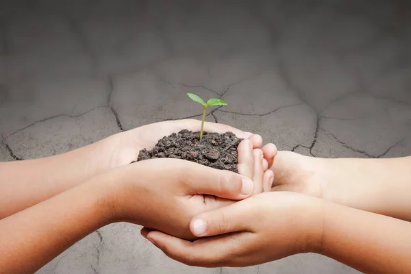 child hands holding soil with sprout on cracked ground, save the world concept,  protect nature concept