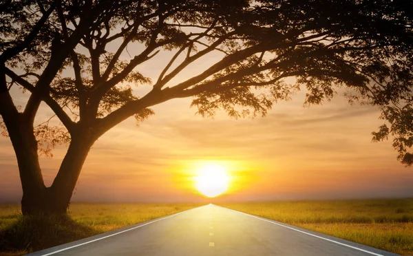 sunrise in road with silhouette tree frame