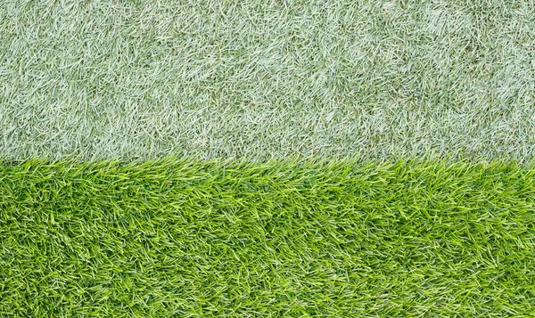 two tone of texture green grass background
