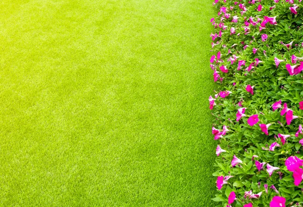 Sztuczna Trawa Pole Kwiaty Świetle Poranka — Zdjęcie stockowe