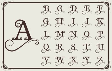 Monogram veya logo ve etiket tasarımı ile güzel telkari, antik çerçeve, süsleme sınır, vektör çizim retro mektup için Vintage dekoratif yazı tipi 