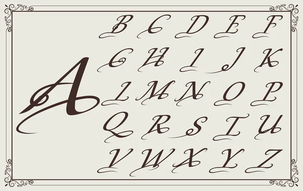 老式装饰字体为字母组合或标志和标签设计与美丽的细丝 复古字母在古老的框架 装饰边界 矢量插图 — 图库矢量图片