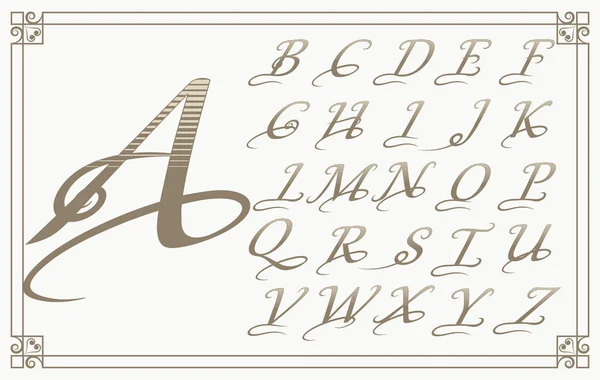 Vintage Dekorative Schrift Für Monogramme Oder Logo Und Etikettendesign Mit — Stockvektor