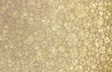 kabarcıklar su doku üstten görünüm