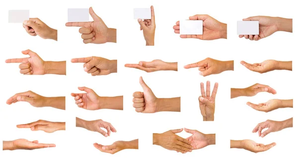 Collection Hands Isolated White Background — Stock Photo, Image