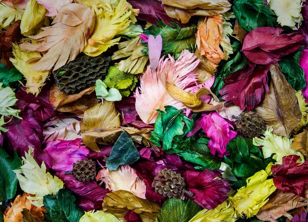 Culoare Frunze Uscate Aromă Frunze Fundal — Fotografie, imagine de stoc