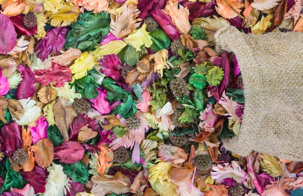 Kleurrijke Van Droge Bladeren Met Aroma Blad Achtergrond — Stockfoto