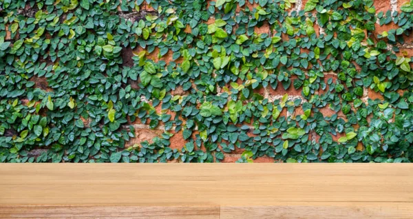 Lege Houten Tafel Groene Klimplant Plant Bakstenen Muur Achtergrond Voor — Stockfoto