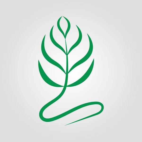 Zielony Liść Logo Białym Tle Pozostawia Ikona Ilustracja Wektorowa — Wektor stockowy
