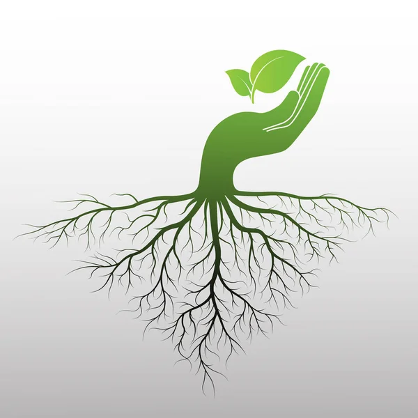 Logotipo Hoja Verde Mano Humana Con Raíz Icono Hojas Concepto — Vector de stock