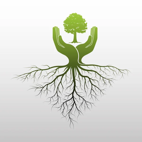 Logotipo Del Árbol Verde Mano Humana Con Raíz Icono Naturaleza — Vector de stock