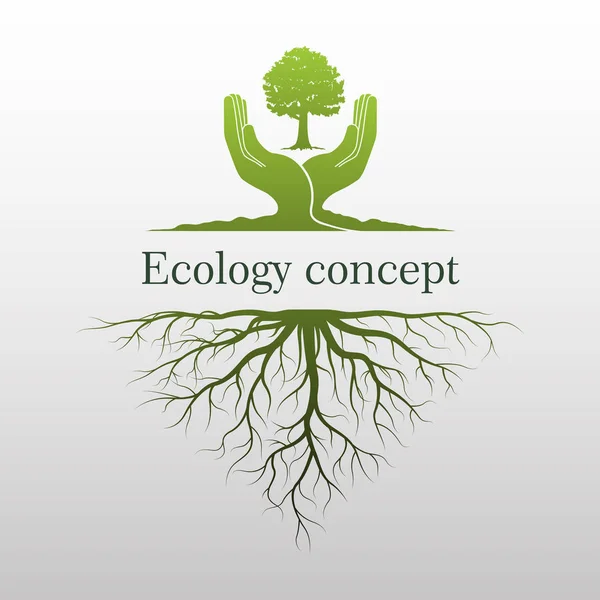 Logotipo Del Árbol Verde Mano Humana Con Raíz Icono Naturaleza — Vector de stock